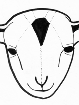 Da Lamb