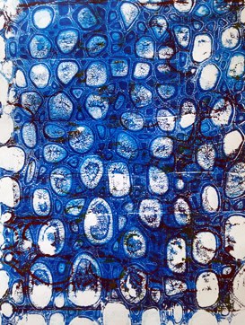 Monotypes24