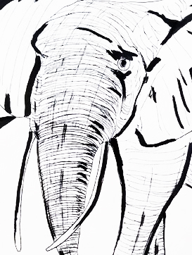 Elephant d’Afrique